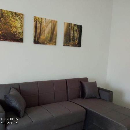 Vercelli Suite Borgo Vercelli Εξωτερικό φωτογραφία